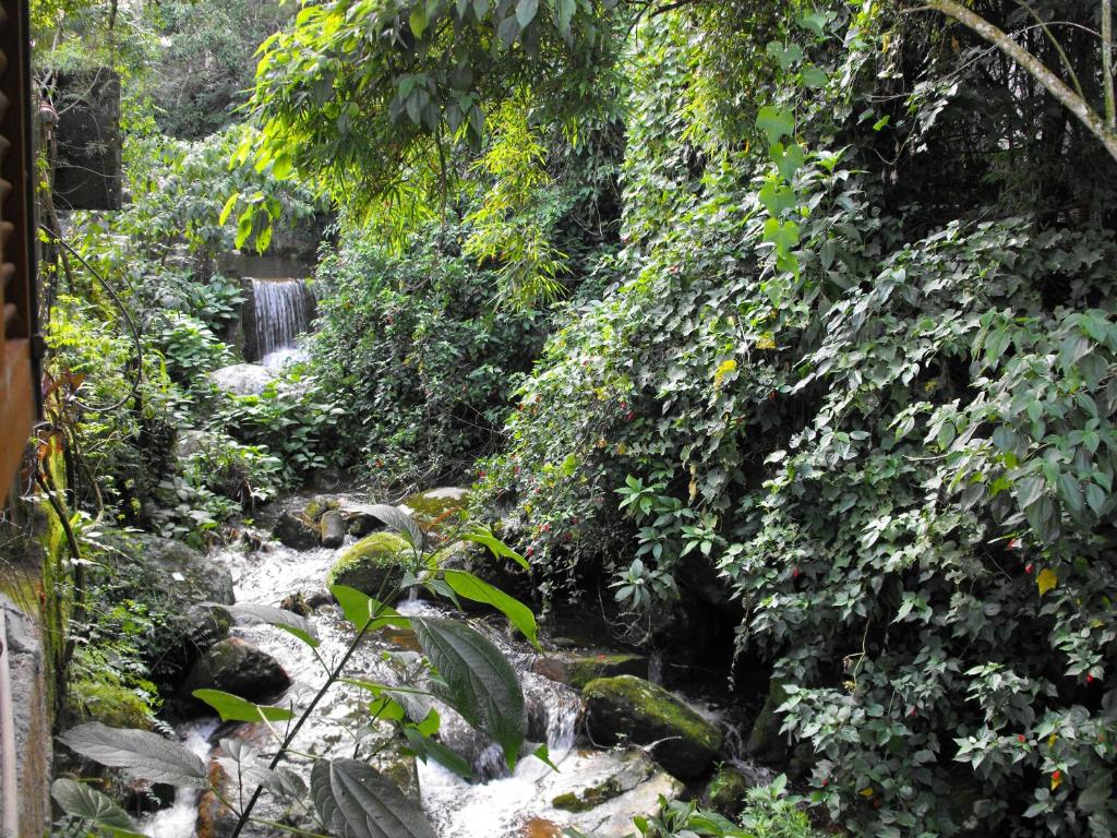  Pousada Cascata dos Amores