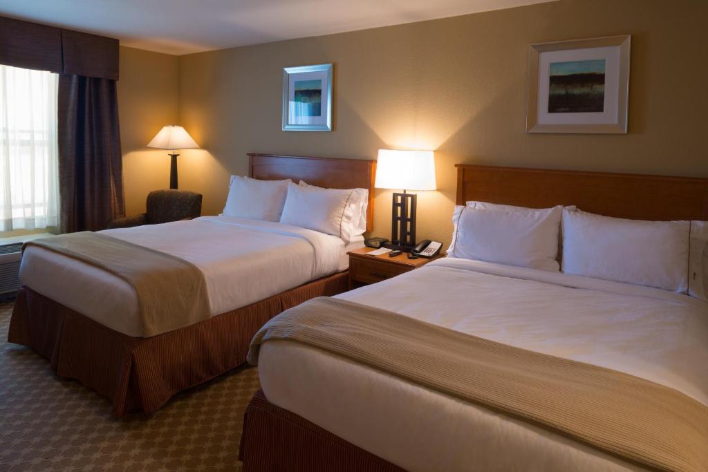 Holiday Inn Express Hotel & Suites Chicago West Roselle, an IHG Hotel - 