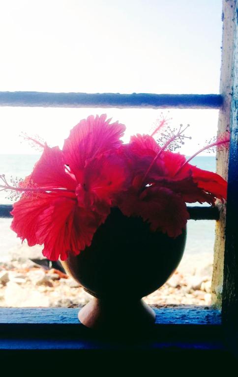  Napraia Hostel Casa Zen