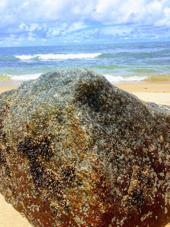  Napraia Hostel Casa Zen