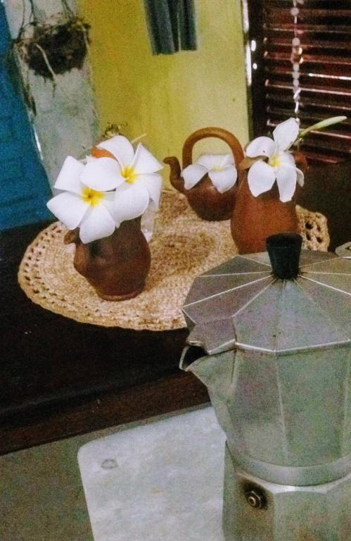  Napraia Hostel Casa Zen