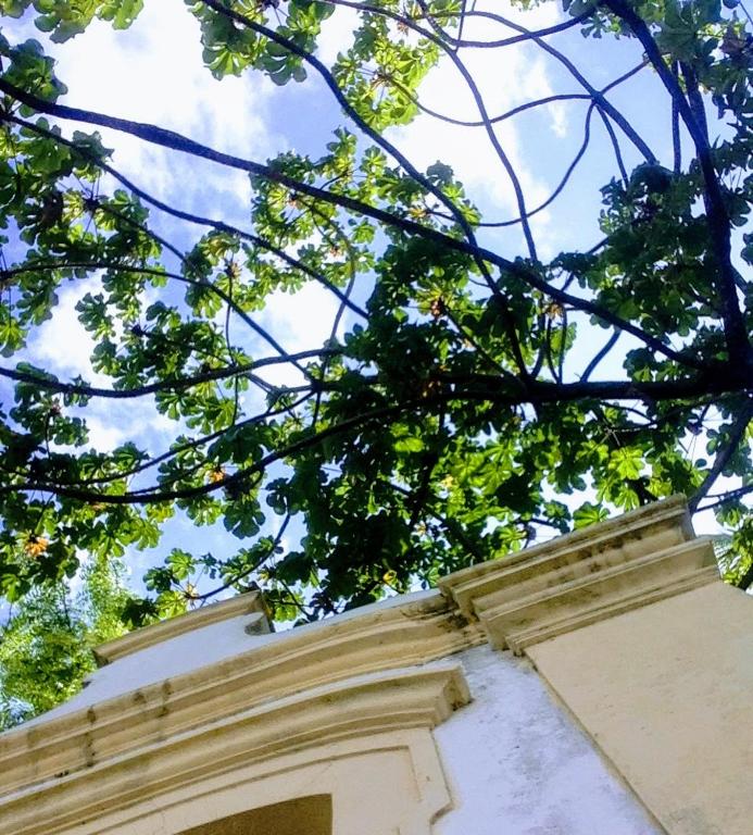  Napraia Hostel Casa Zen