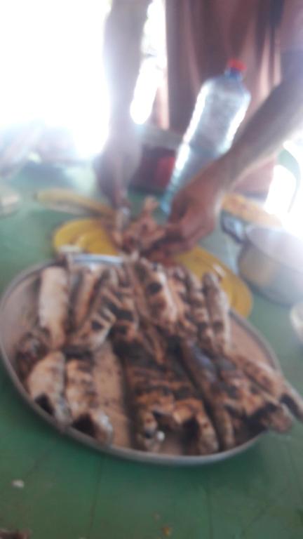  HOSPEDARIA E CAMPING PINGO de ouro