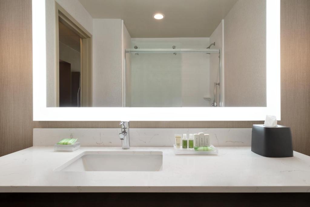 Ein Badezimmer in der Unterkunft Holiday Inn Hotel &amp; Suites Council Bluffs by IHG