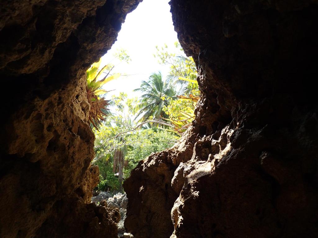  Luar do Leão Bungalow