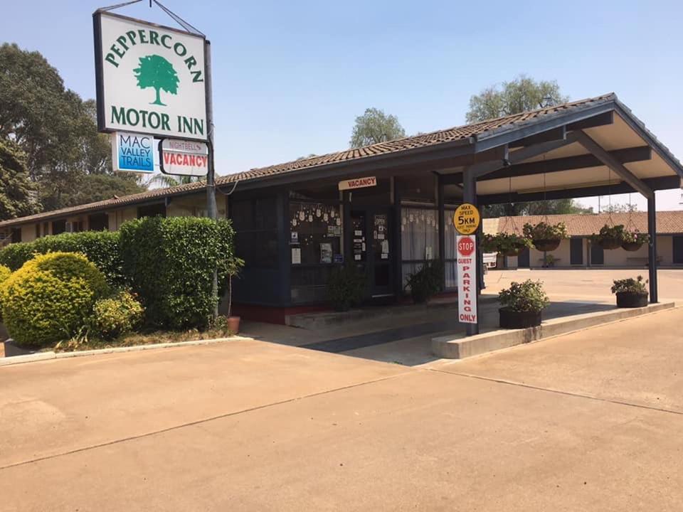 une auberge de motel avec un panneau devant elle dans l'établissement Peppercorn motor inn, à Narromine