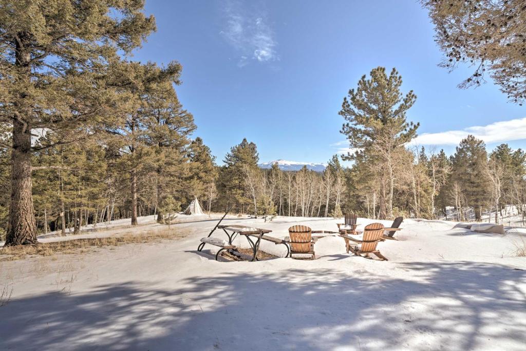 Log Cabin with Mountain Views about 30 Mi to Pikes Peak! v zimě