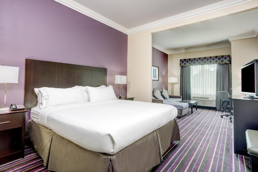 Holiday Inn Express & Suites Raceland - Highway 90 by IHG - Suite King