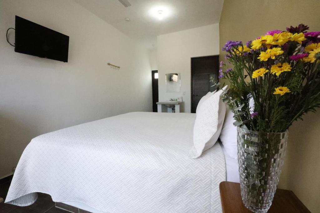 TV a/nebo společenská místnost v ubytování Hotel Del Mar