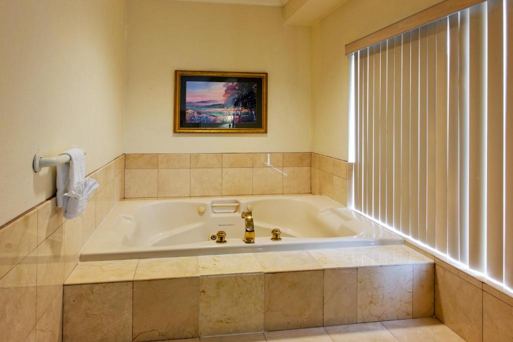 Holiday Inn Express San Pablo - Richmond Area by IHG photo