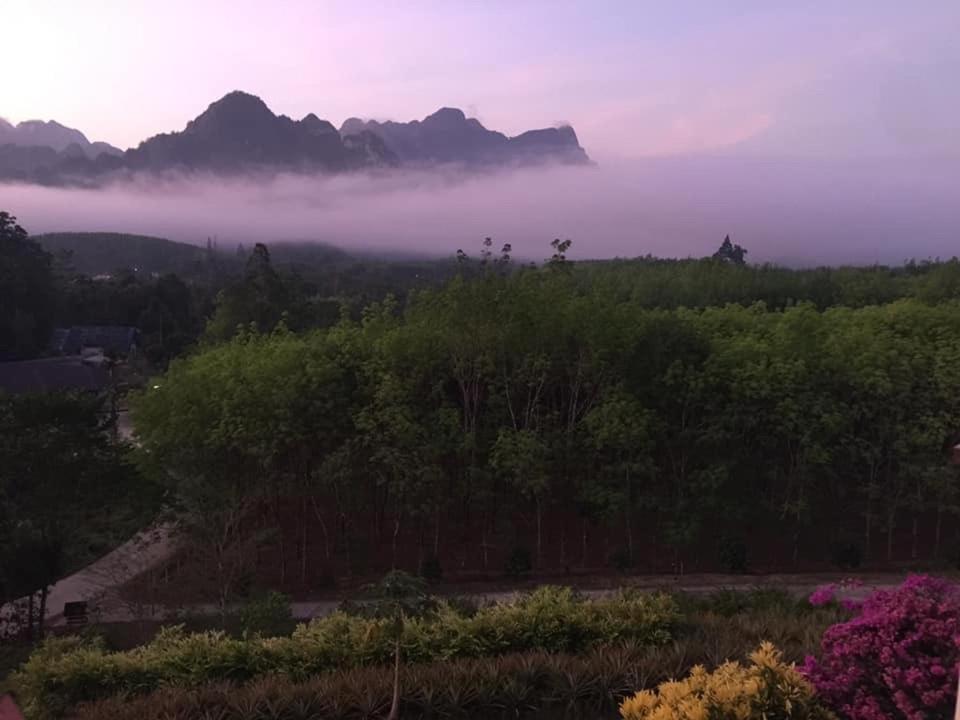 Billion Views Khaosok Homestay - 7