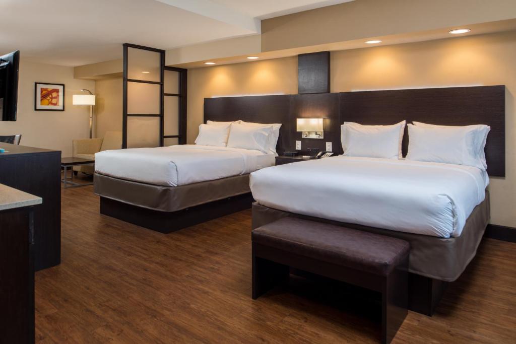 Holiday Inn Express & Suites San Antonio Medical Center North, an IHG Hotel - Suite Mit Zwei Queensize-Betten