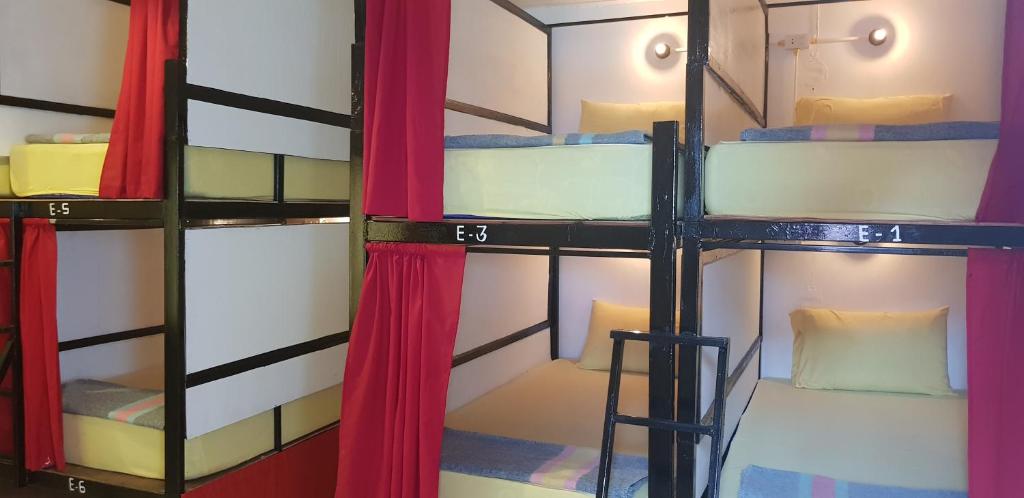 Μία ή περισσότερες κουκέτες σε δωμάτιο στο Om Ganesh Hostel