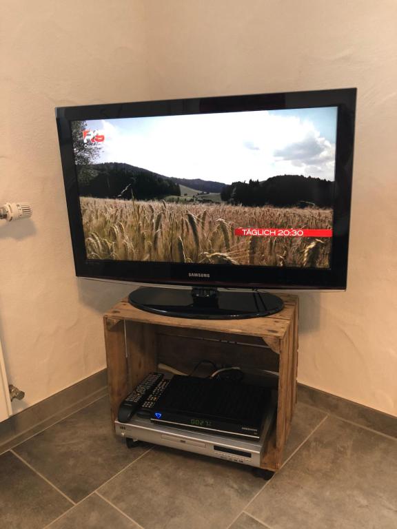 TV a/nebo společenská místnost v ubytování Sunnesching