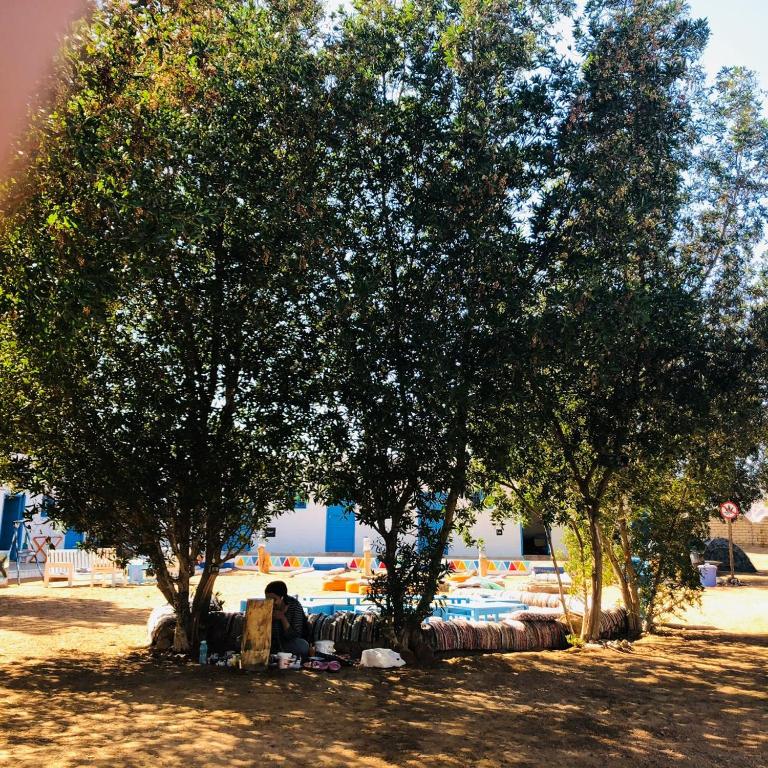 Zahrada ubytování Elrayga Camp Dahab