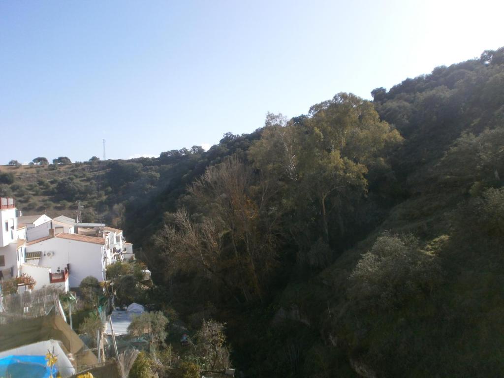 Príroda v okolí of the country house
