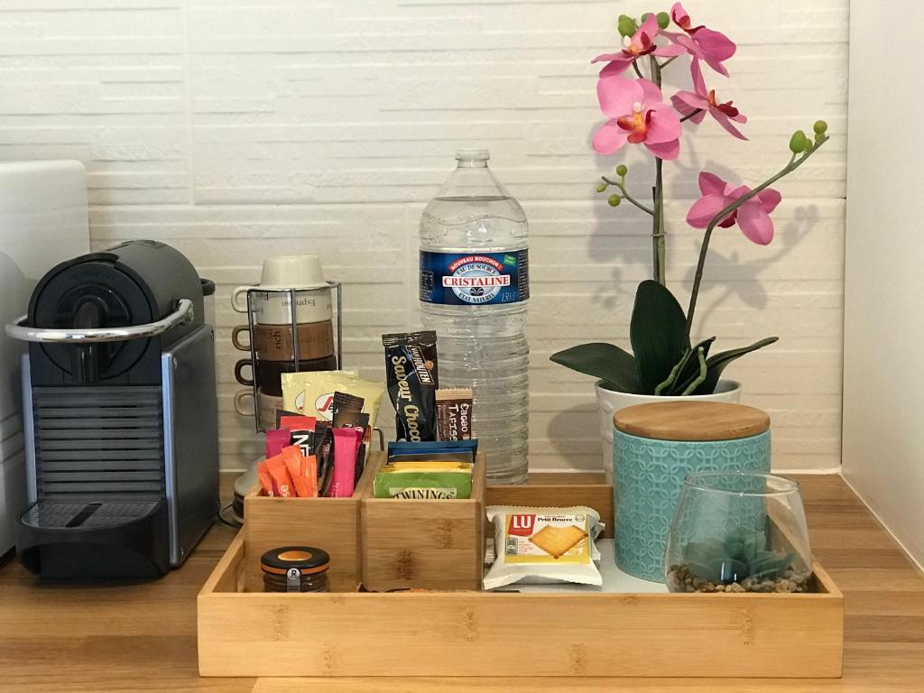 Swann Disney Appartement - 6