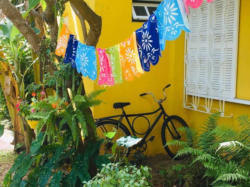  Casas Amarelas