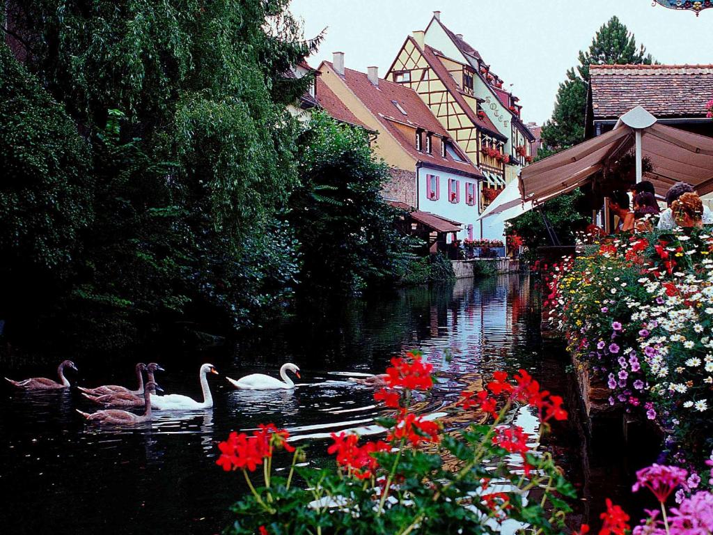 Výhled na řeku, která protéká v blízkosti hotelu