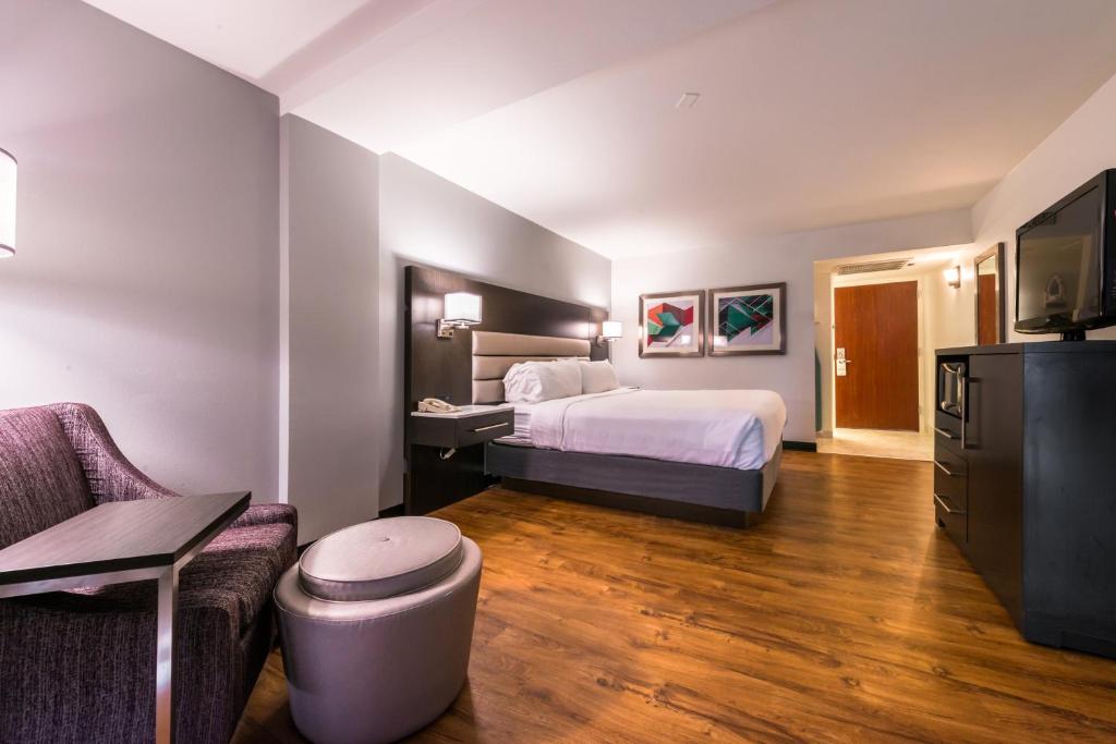 Holiday Inn Hotel and Suites Beaumont-Plaza I-10 & Walden, an IHG Hotel - Chambre King Standard