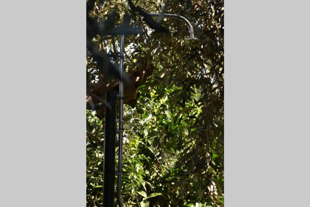 Fotografie z fotogalerie ubytování Afissos View v destinaci Áfissos