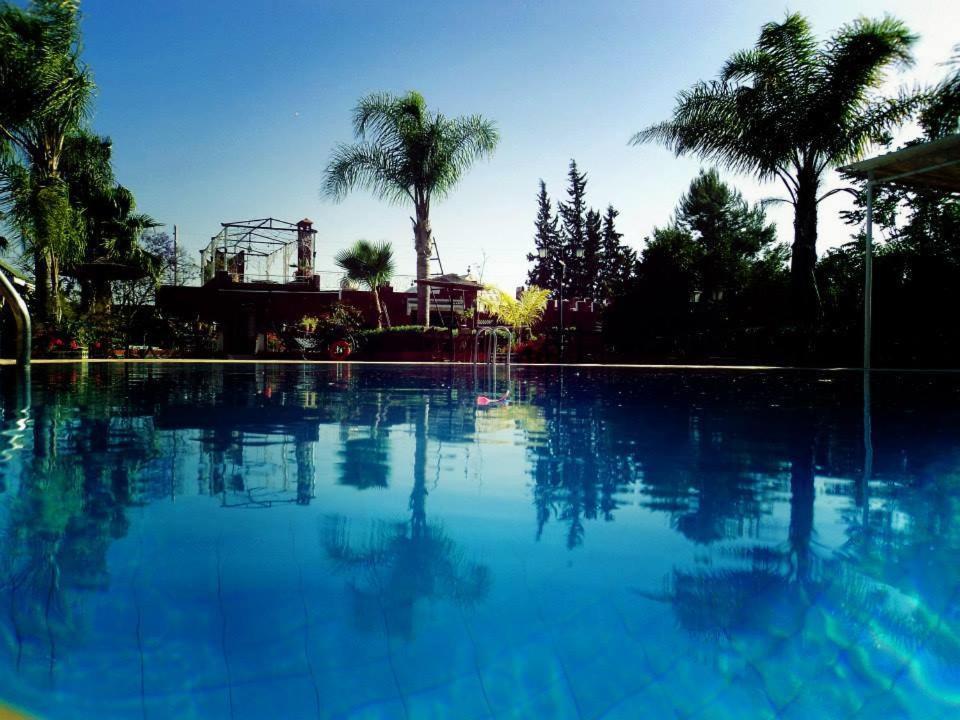 ein großer Pool mit Palmen im Hintergrund in der Unterkunft Hotel Riad L' Arganier D' Or in Aït el Rhazi