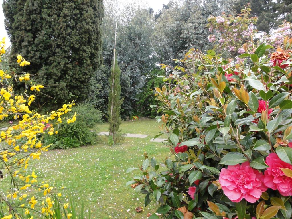 a garden with pink roses and other flowers at Chambres d&#39;hôtes Air Marin in Lannion