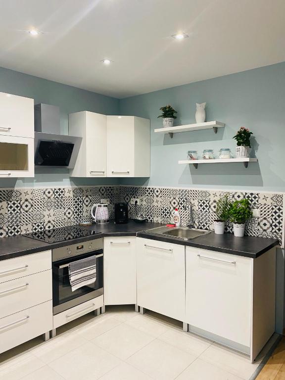 Kuchyňa alebo kuchynka v ubytovaní Apartament Bankowa