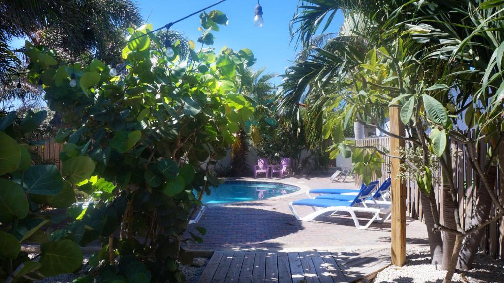 a pool with a bunch of trees around it at Pauline's Apartments in Palm-Eagle Beach