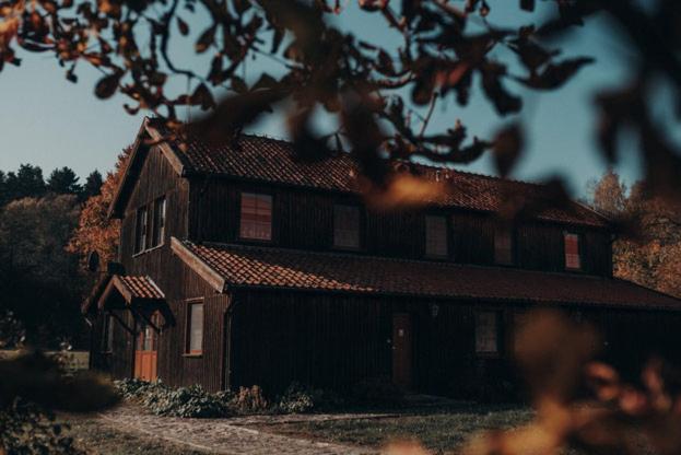 a large wooden house with a tree in front of it at Apartamenty Drewniany Dom in Wojciechy