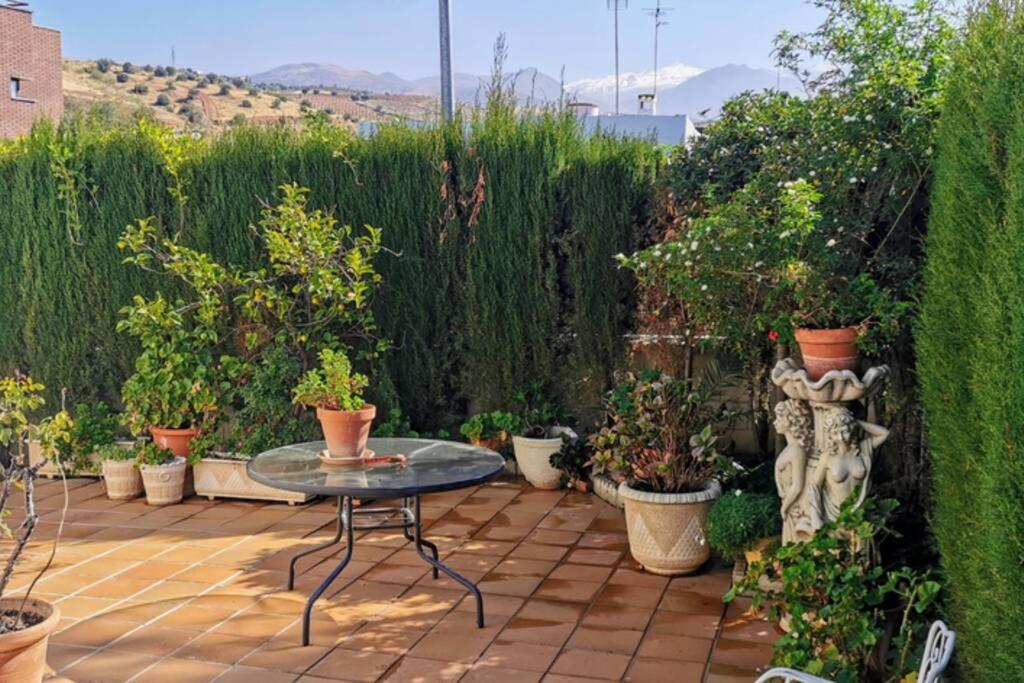 a patio with a table and potted plants at Balcón de la Alhambra y Sierra Nevada in Huétor Vega