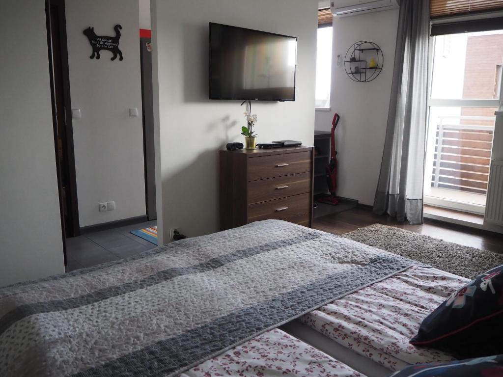 1 dormitorio con 1 cama y TV de pantalla plana en Szybowników 1, en Piła