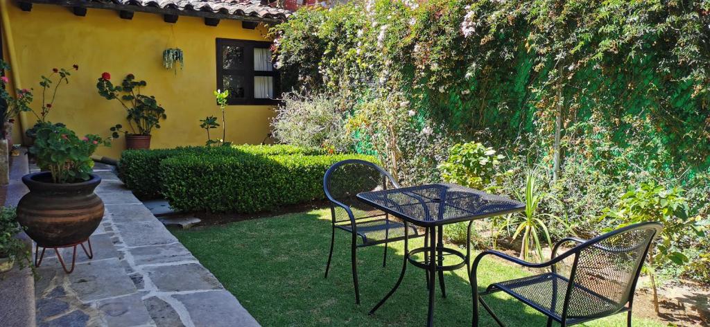 Zahrada ubytování Hotel Ocho Barrios