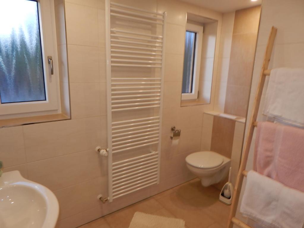 Koupelna v ubytování Ferienwohnung Vogl