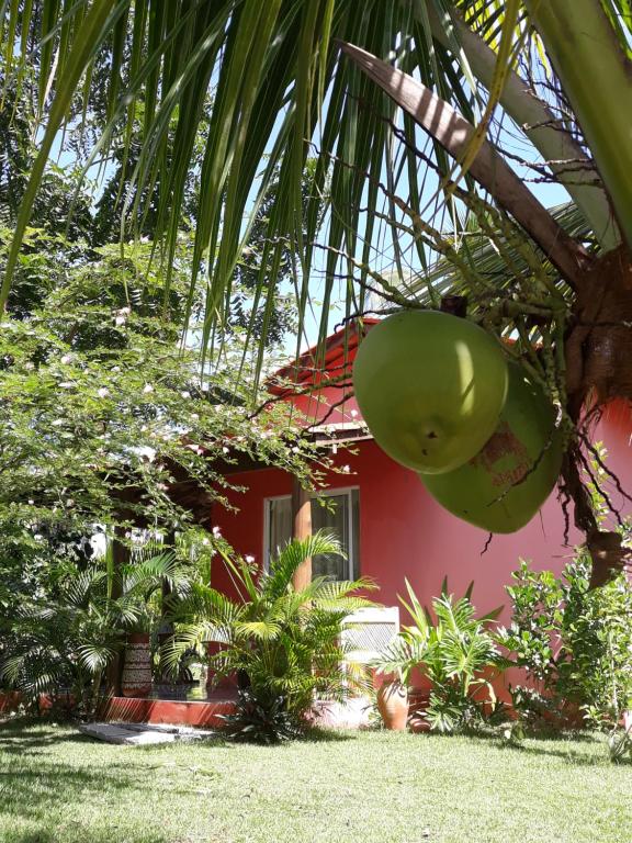 Chale da Lu في سيرا غراند: منزل به كرة خضراء معلقة من شجرة