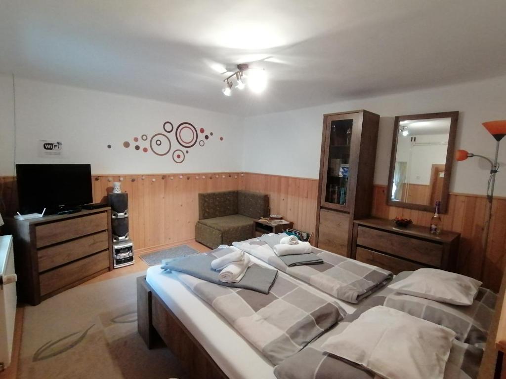 a large bedroom with two beds and a television at Csillag Vendégház in Répáshuta