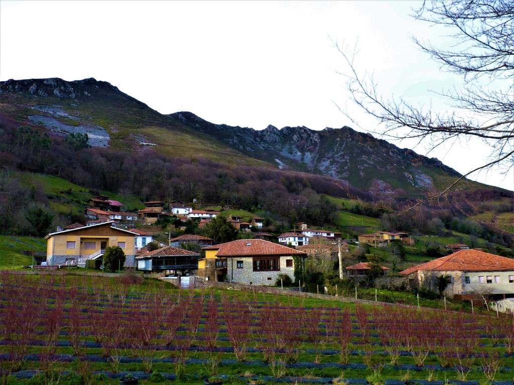 een klein dorpje in een vallei met een berg bij Casa L´Andorvio in Leiguarda