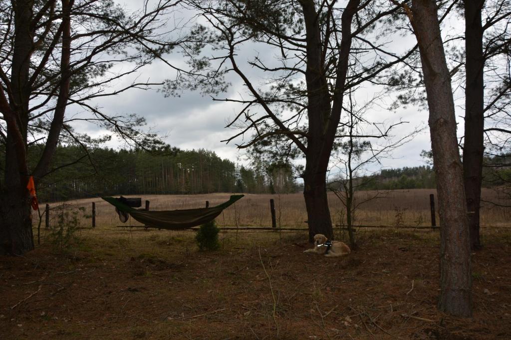 Příroda nedaleko luxury tent