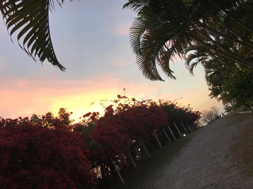  Pousada Halliny do Rosa