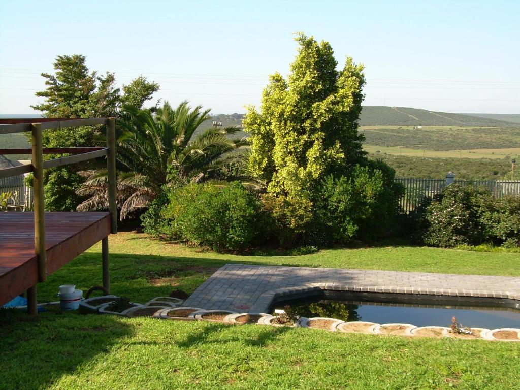 a backyard with a pond in the grass with a bench at The Hexagon Wildlife Conservation in Uitenhage