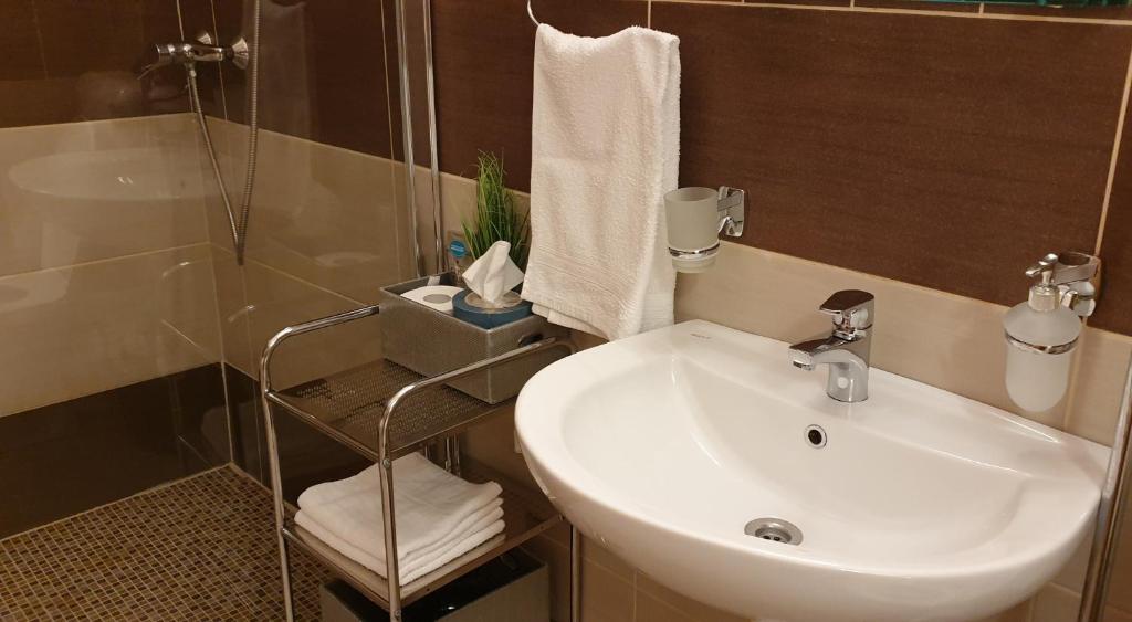 La salle de bains est pourvue d'un lavabo et d'une douche. dans l'établissement Grand Paradise Apartman, à Miskolc