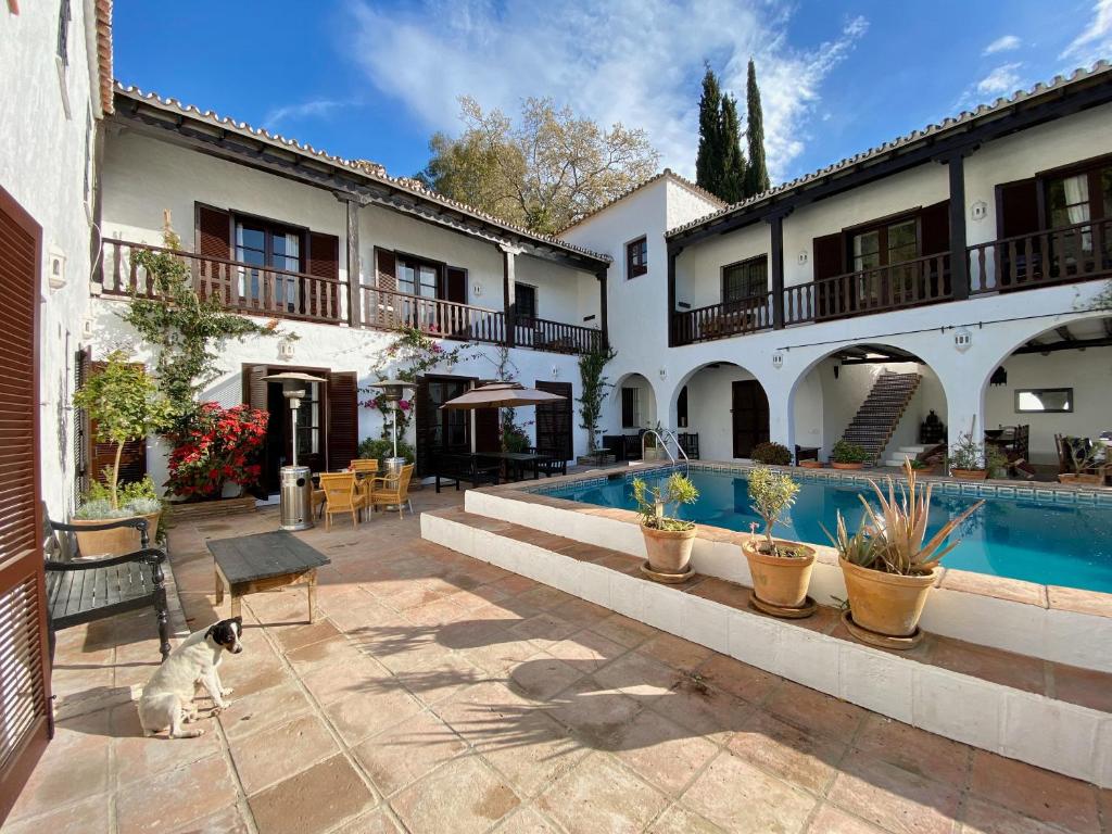 a cat sitting in front of a house with a pool at El Molino Estepona in Estepona