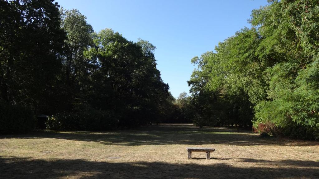 Charmant STUDIO au Calme Tout Confort Dans Château Néo Gothique proche ZENITH COMET ORLEANS Parking Voiture Gratuit WIFI Haut Débit Rue des Montées - Studio Superiore