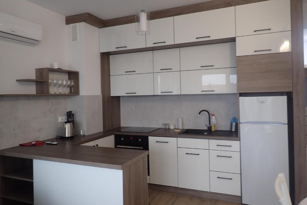 Kuchyňa alebo kuchynka v ubytovaní Ekskluzywny apartamet Pan Tadeusz III z widokiem na jezioro