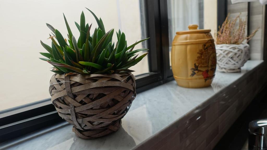 three vases with plants in them sitting on a window sill at Mamina's House in il-Baħrija