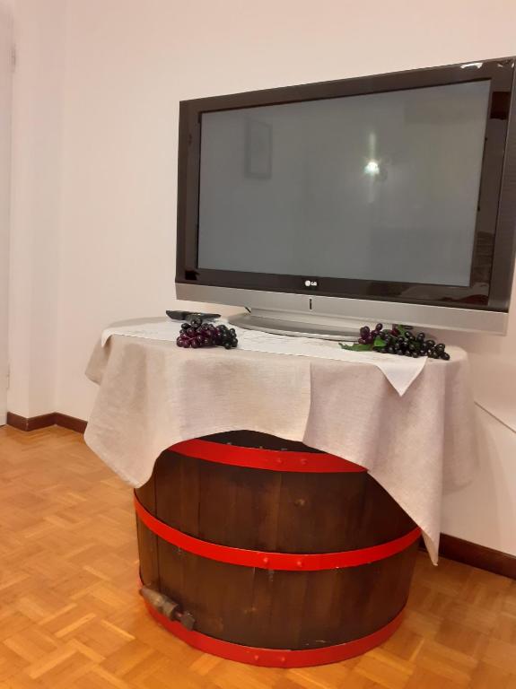 TV a/nebo společenská místnost v ubytování GrappaLand
