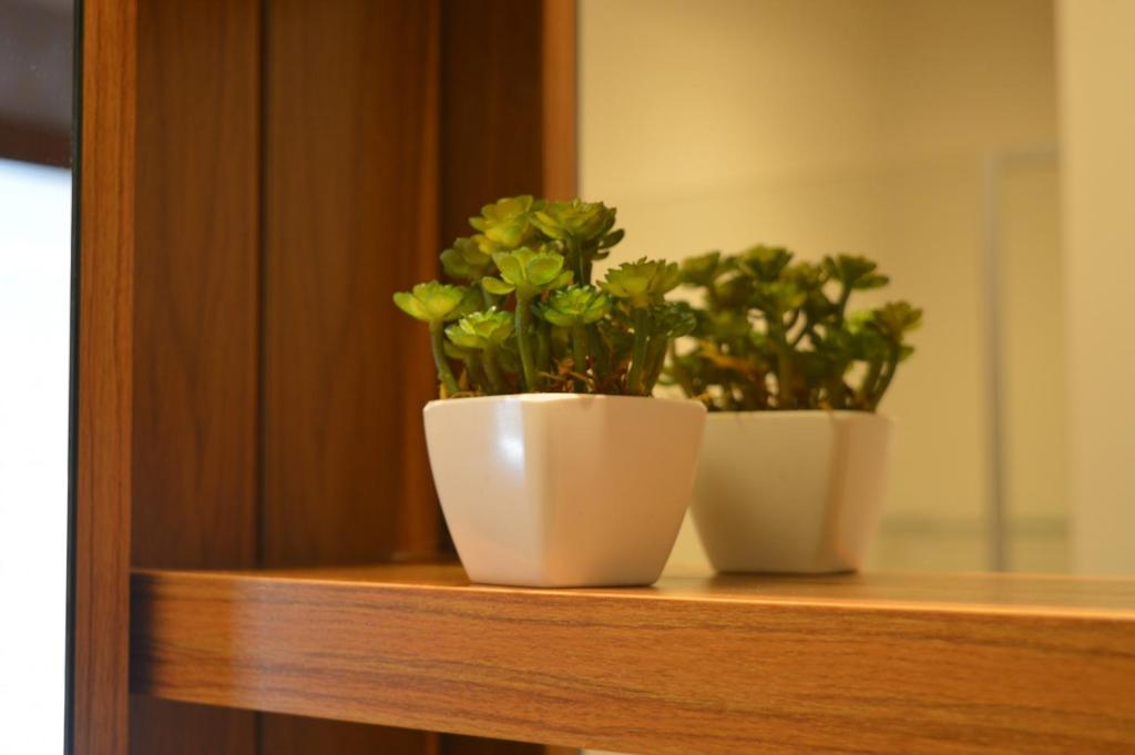  Rosa Apartamento Luxo Maria Antônia