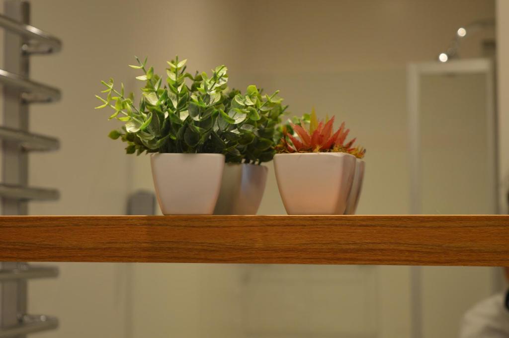  Rosa Apartamento Luxo Maria Antônia