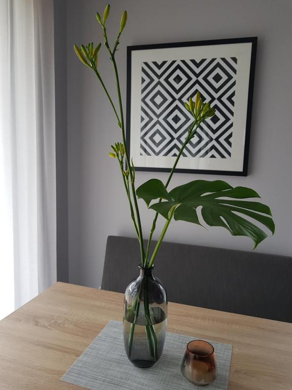 Fotografie z fotogalerie ubytování VILLA LIPOVA STEGNA pokoje i apartamenty dedykowane osobom dorosłym v destinaci Stegna