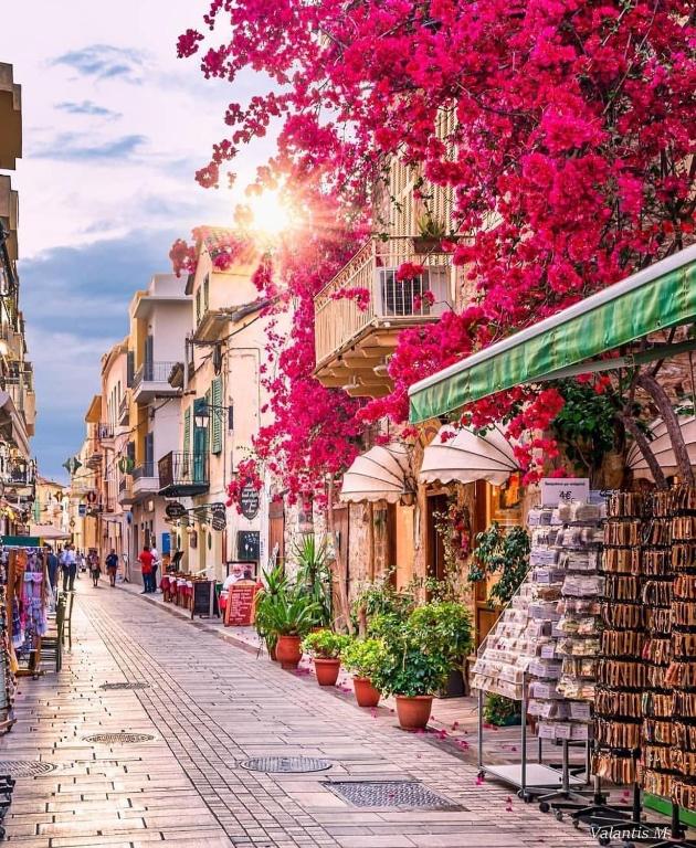 Fotografie z fotogalerie ubytování Villa Eva v destinaci Nafplio